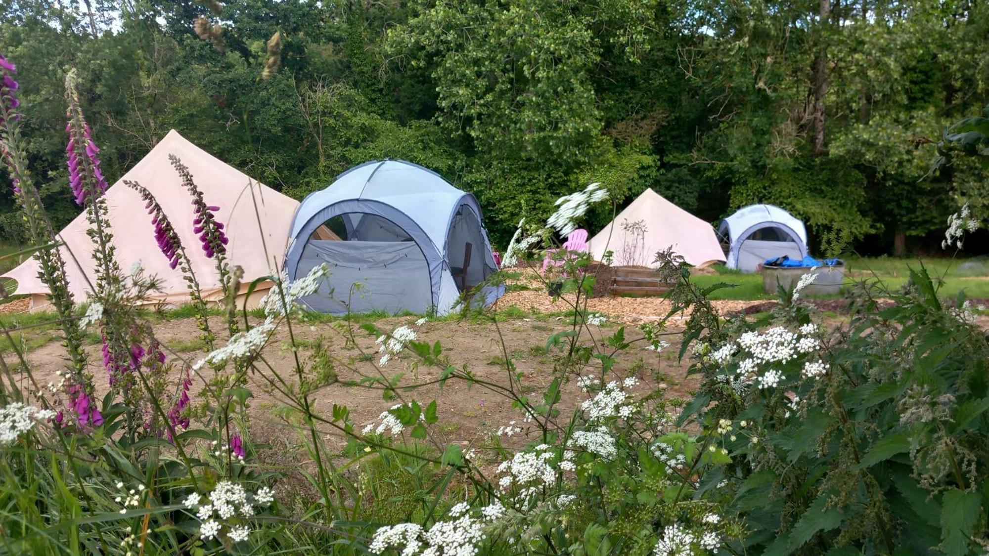 Tente Insolite En Pleine Nature Tente de luxe Treduder